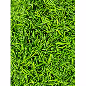 G4 Green Chilli