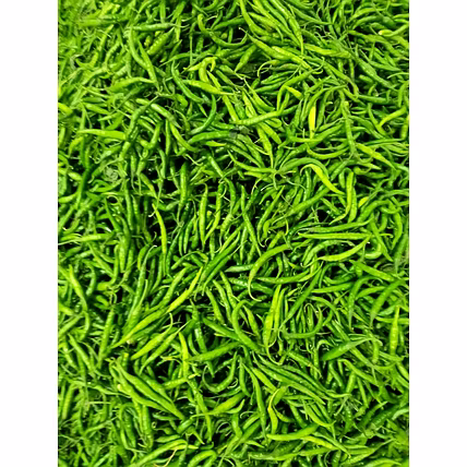 G4 Green Chilli-2