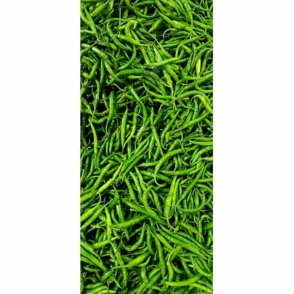 G4 Green Chilli-Buldhana-4