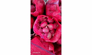 Onion