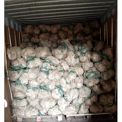 Elephant Yam Suran-Manufacturer-3