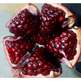 Pomegranate