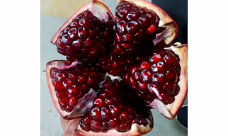 Pomegranate