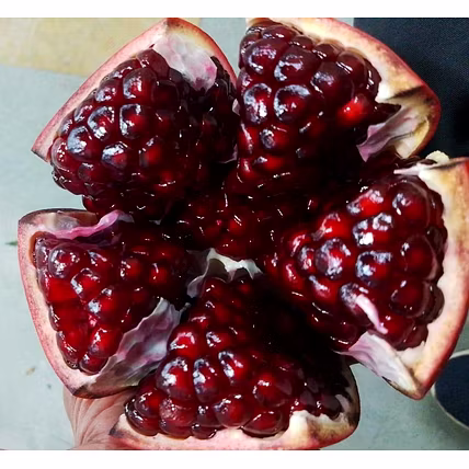 Pomegranate-12764821