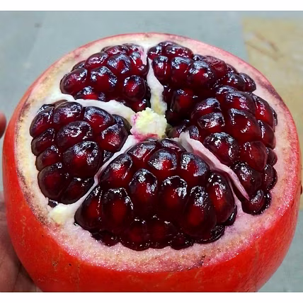 Pomegranate-1