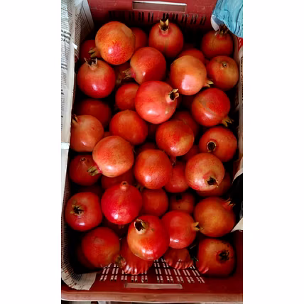 Pomegranate-2