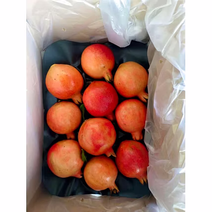 Pomegranate-3