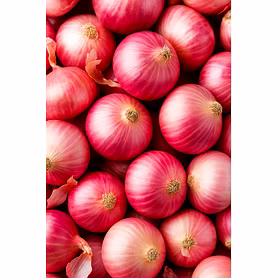 Fresh Onion           HS Code  07031010
