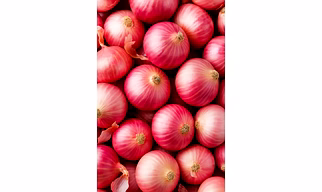 Fresh Onion           HS Code  07031010
