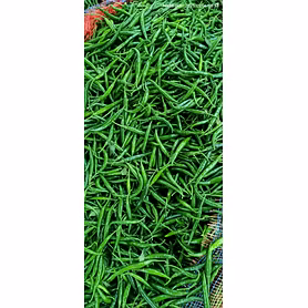 Fresh Green Chilli G4