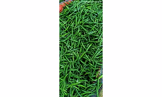 Fresh Green Chilli G4
