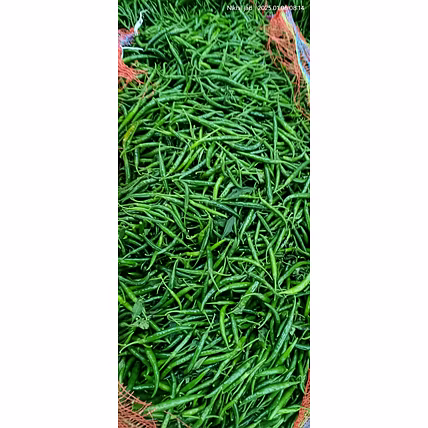 Fresh Green Chilli G4-1