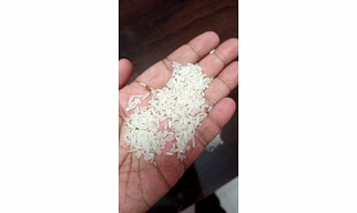 Indrayani Rice