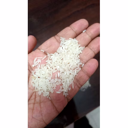 Indrayani Rice-12705365