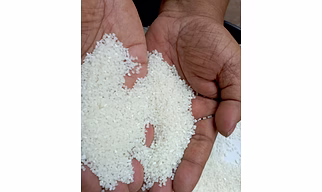 Distillery-Grade Broken White Rice – Premium Raw Material for Alcohol Production | Daily Supply: 100 Tons
