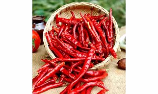 S - 17 , teja red chillies