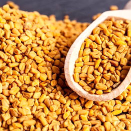 gsx fenugreek seeds 100 gram