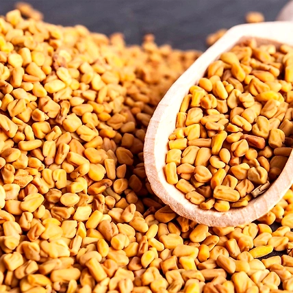 Fenugreek Seeds 100 Gram-GSX-FGS-001