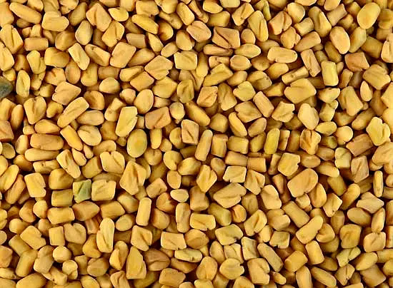 Fenugreek Seeds 100 Gram image 2