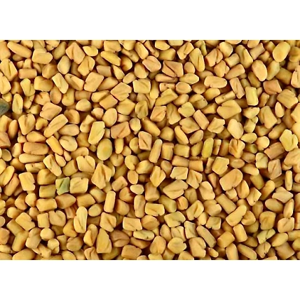 Fenugreek Seeds 100 Gram-100g-Pouch-Whole-1
