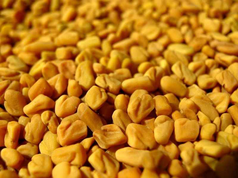 Fenugreek Seeds 100 Gram image 3