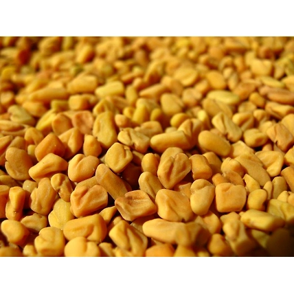 Fenugreek Seeds 100 Gram-100g-Pouch-Whole-2