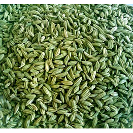gsx fennel seeds 100 grams