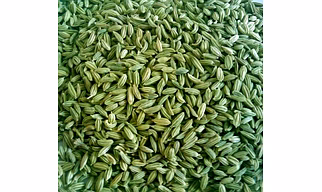 Fennel Seeds 100 Grams