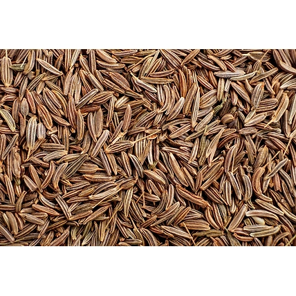 Cumin Seeds 100 Grams-GSX-CUS-001