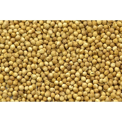 Coriander Seeds 100 Gram-100g-Pouch-Whole-2