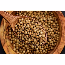 atg coriander seeds 100 gram