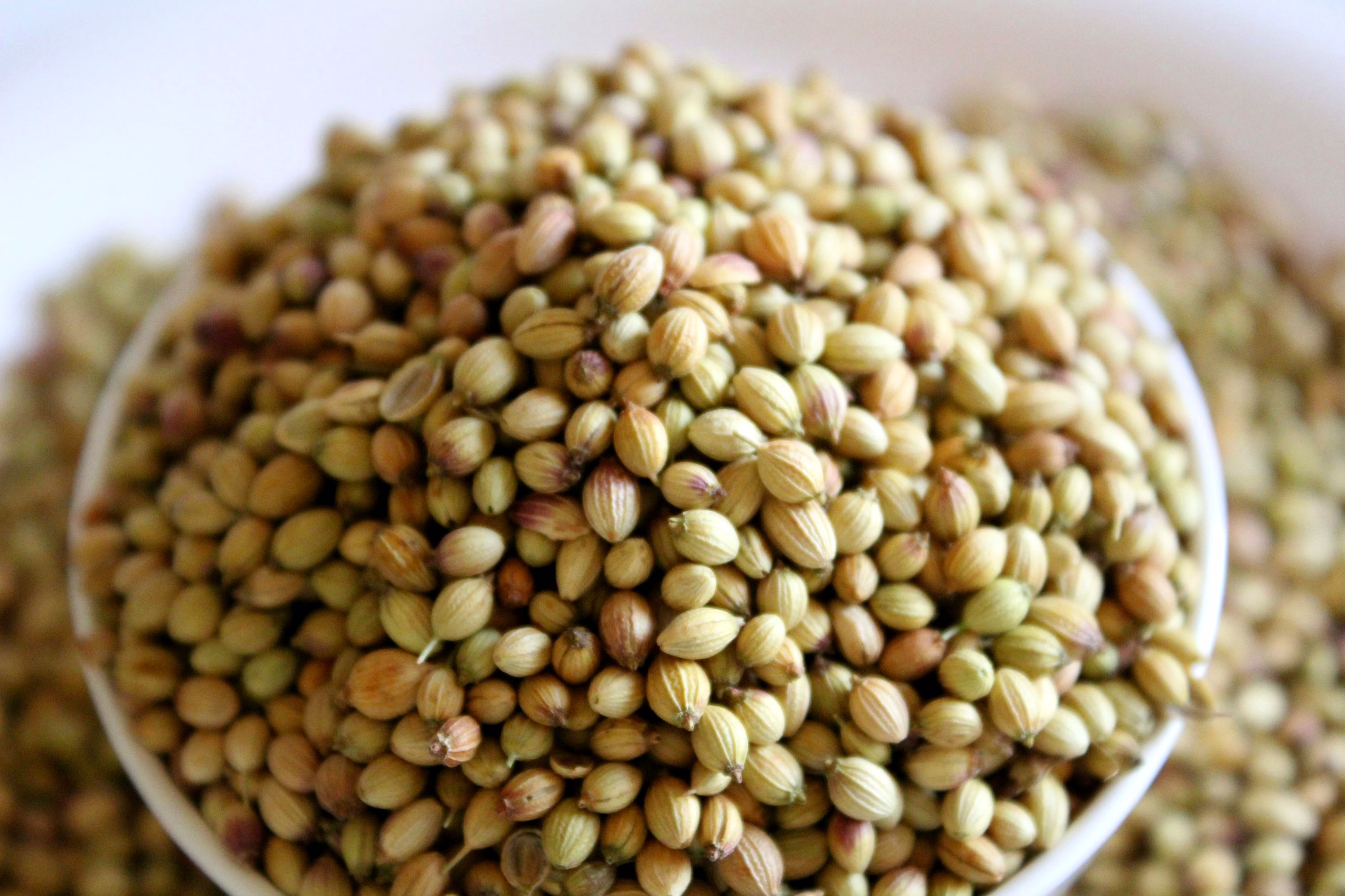 Coriander Seeds 100 Gram image 2