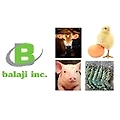 BALAJI INCORPORATION-logo