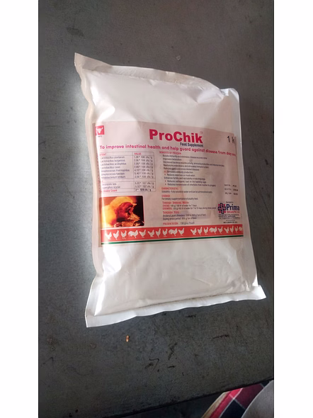 Prochik - 1Kg - Probiotics,The Immunity Booster-4