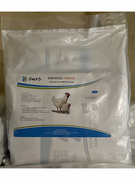 Encicoli Forte 5Kgx5