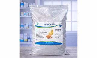 Neochol 60% - Choline Chloride - Serial Base