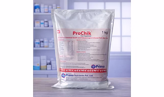 Prochik - 1Kg - Probiotics,The Immunity Booster