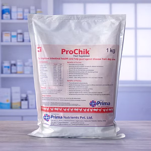 Prochik - 1Kg - Probiotics,The Immunity Booster