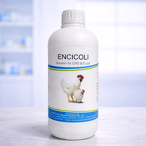 Encicoli Forte liquid 1ltr × 10 packs (10ltr total)