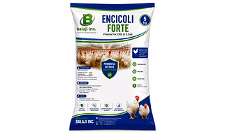 Encicoli Forte 5Kgx5