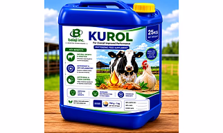 Kurol 25Kg - Turmeric Oil Fortified With Curcuminoids