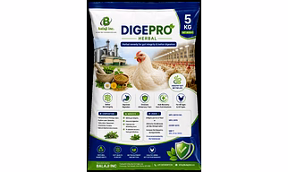 Dige-Pro- Herbal - 5Kgx5