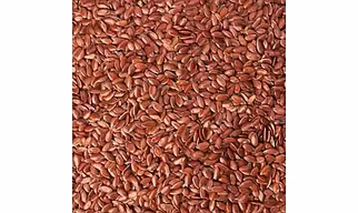 FLAX SEEDS