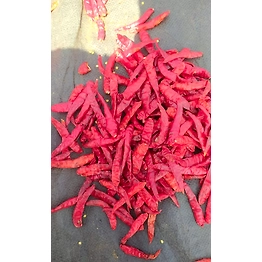 Dry Red Chilli
