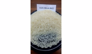 Rice