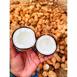 coconut