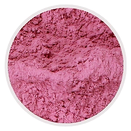 DEHYDRATED RED ONION Powder