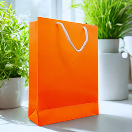 solid color paper bags