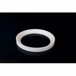ptfe gasket