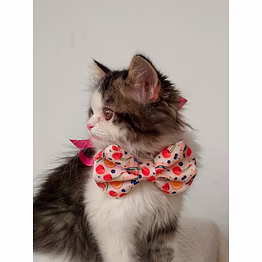 bowsandties dog/cat bowties
